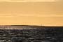 paysage - Gabriel Pitras
