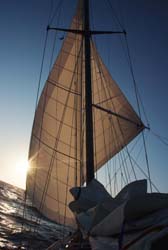 Down wind   - Gabriel Pitras