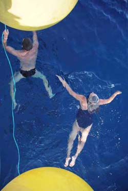 Swimming - Vincent Berthet