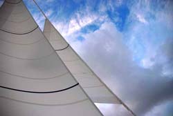 Staysail and yankee - Vincent Berthet