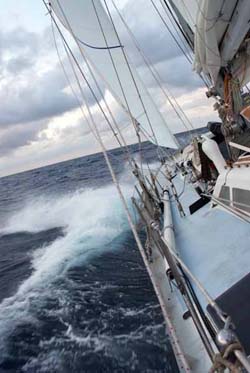 Sailing - Vincent Berthet