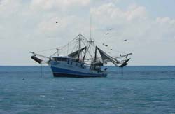 Fishermen from Honduras _ Photo Pierre Charles Gueroult