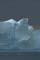 Iceberg  - Delphine Maratier