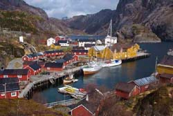 Hirondelle-Photo Olivier Pitras