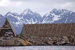 S&ecirc;chage de la morue-Photo Vincent Berthet
