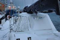 Nouveau dodger sur Southern Star